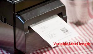 Impresora Linerless Toshiba Serie BV400