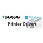 Seagull Drivers bartender