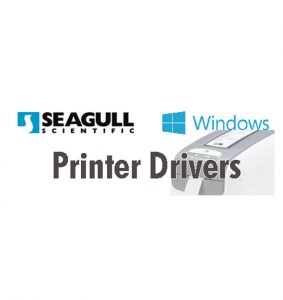 Seagull Drivers bartender